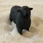 Black sheep