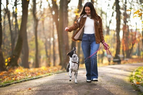 woman walking dog in woods